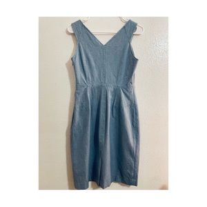 Petite 6 Banana Republic Dress.